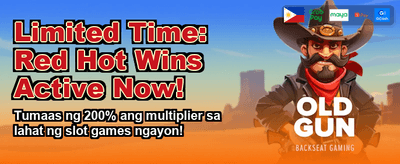 Premium Casino Gaming Experience